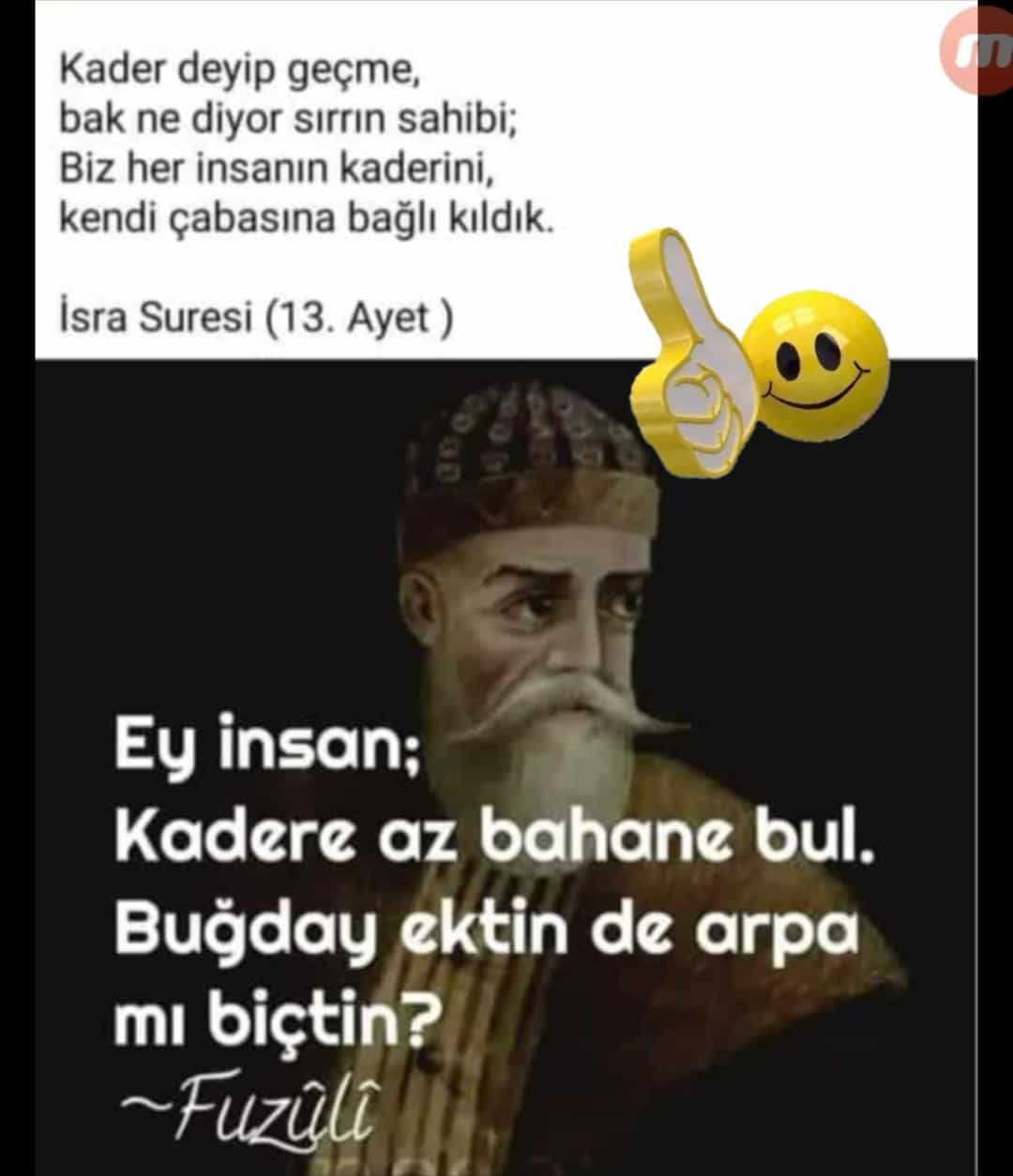 hayata tavsiyee (184).jpg